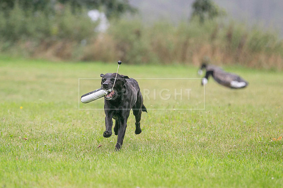 Jixenwell Scurry Challenge Final 2024-0422