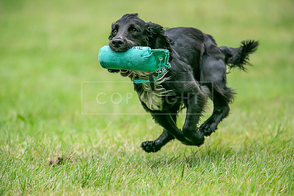 Jixenwell Scurry Challenge Final 2024-0270