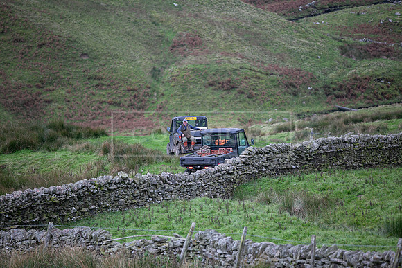 Whitfield 18th October 23-004