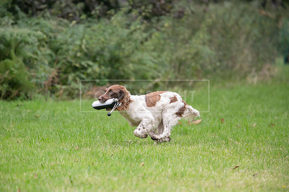 Jixenwell Scurry Challenge Final 2024-0195