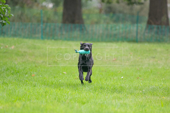 Jixenwell Scurry Challenge Final 2024-0412