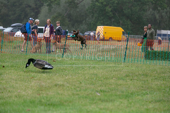 Jixenwell Scurry Challenge Final 2024-0209