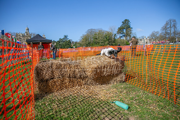 Thoresby Sun 30th Mar 25-073