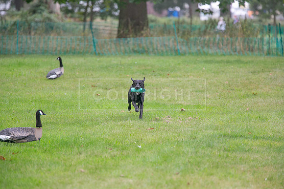 Jixenwell Scurry Challenge Final 2024-0421