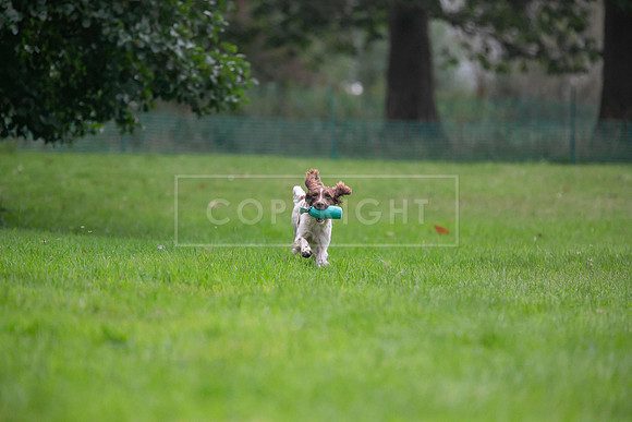 Jixenwell Scurry Challenge Final 2024-0202