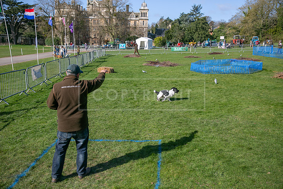 Thoresby Sun 30th Mar 25-032