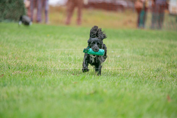 Jixenwell Scurry Challenge Final 2024-0288