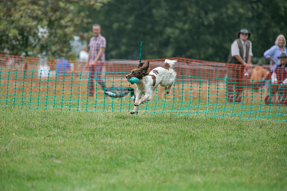 Jixenwell Scurry Challenge Final 2024-0299