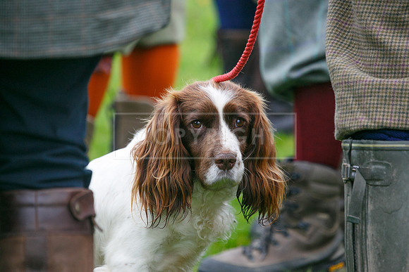 melmerby website-003