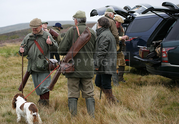 melmerby website-008