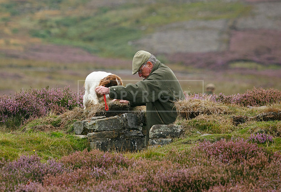 melmerby website-017