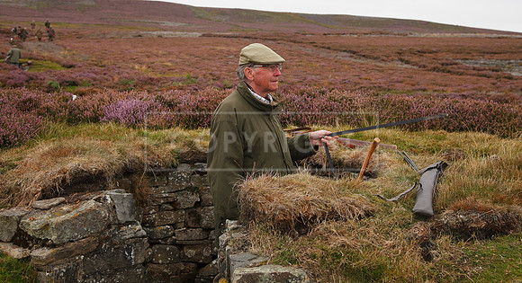 melmerby website-019