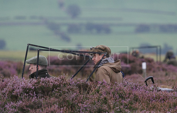 melmerby website-025