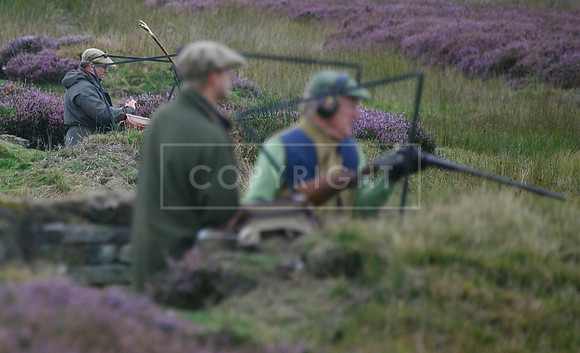 melmerby website-028