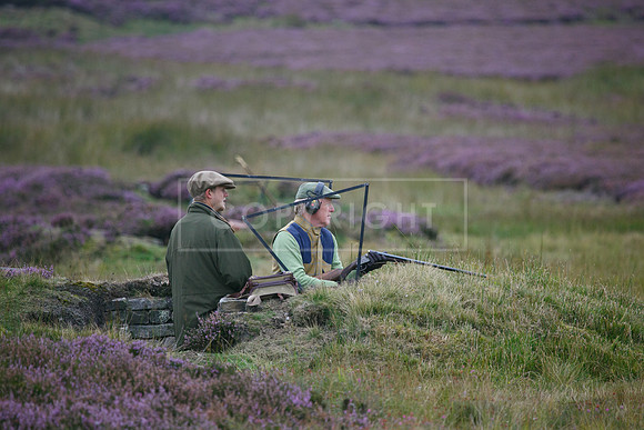 melmerby website-026