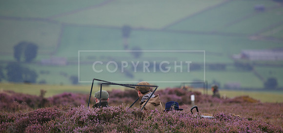 melmerby website-031