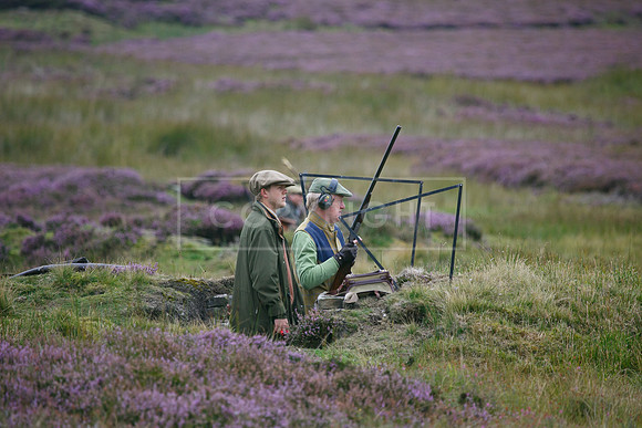 melmerby website-033