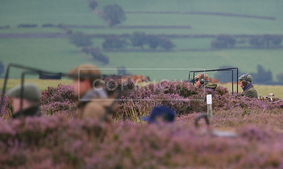 melmerby website-034