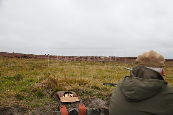 melmerby website-039