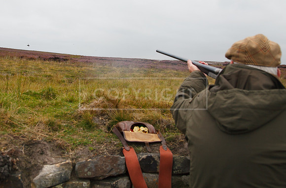melmerby website-040