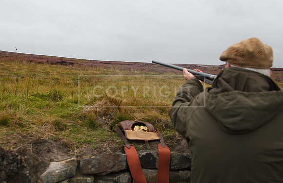 melmerby website-041