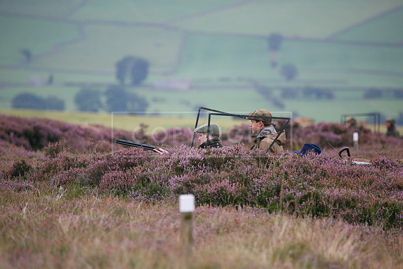 melmerby website-043