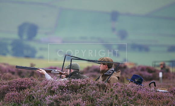 melmerby website-048