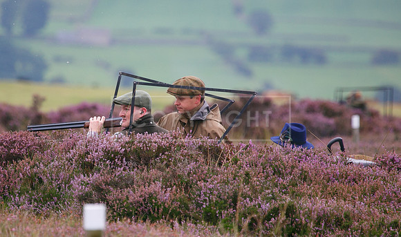 melmerby website-050