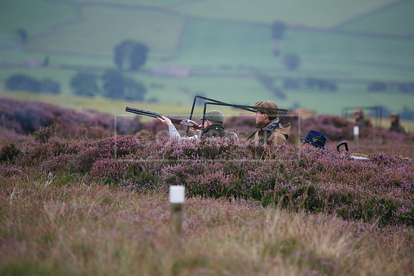 melmerby website-049