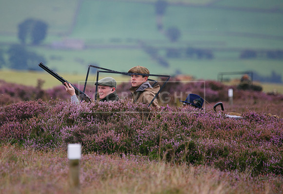 melmerby website-051