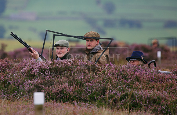 melmerby website-054