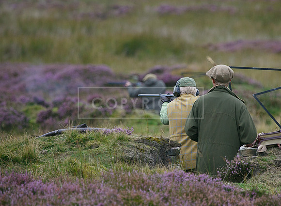 melmerby website-057