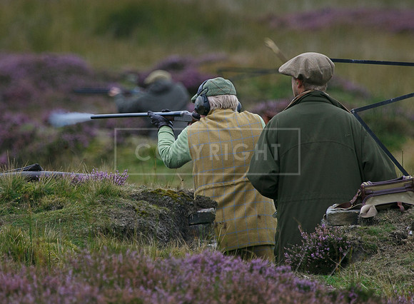 melmerby website-058