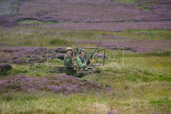 melmerby website-055