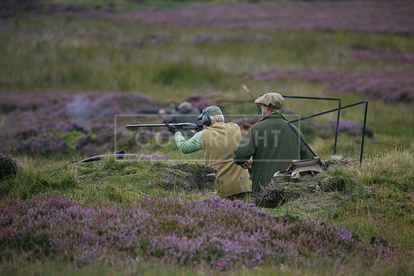 melmerby website-059