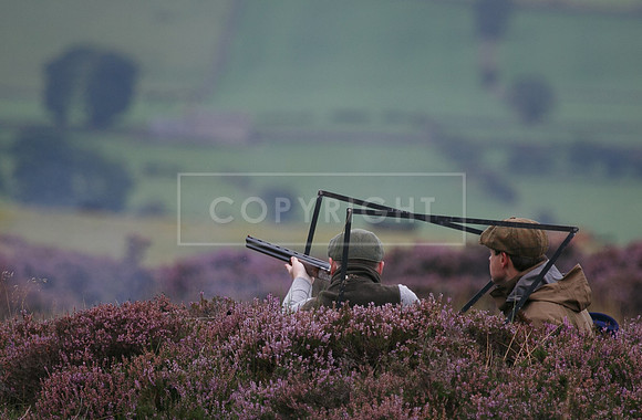 melmerby website-062