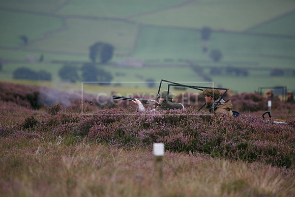 melmerby website-060