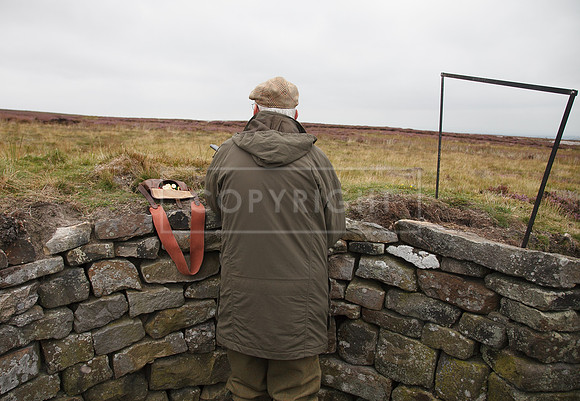 melmerby website-064