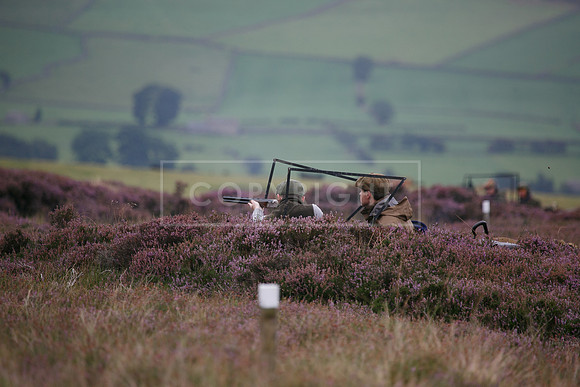 melmerby website-061