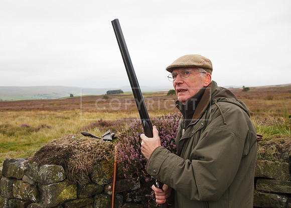 melmerby website-069