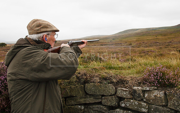 melmerby website-070