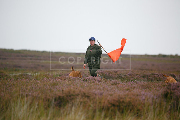 melmerby website-073