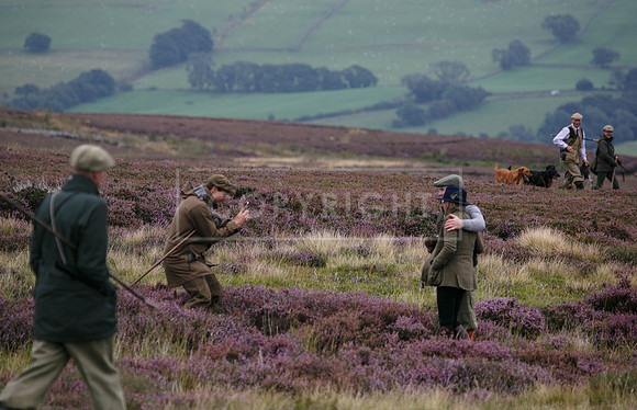 melmerby website-075