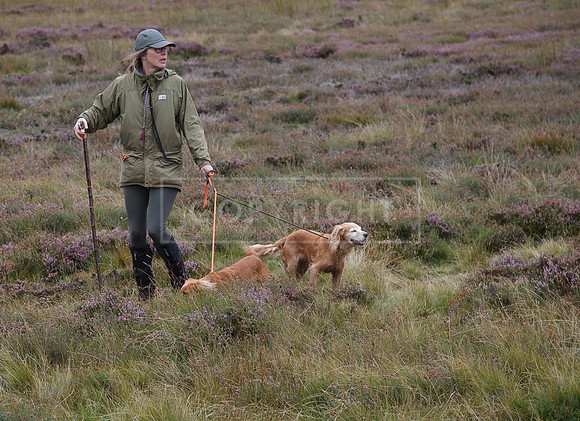 melmerby website-076
