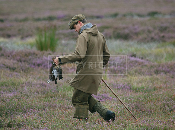 melmerby website-078