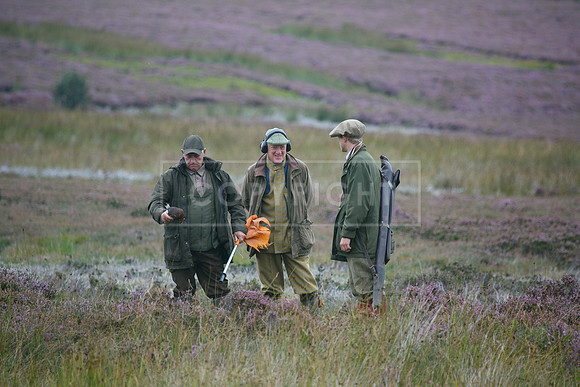 melmerby website-080