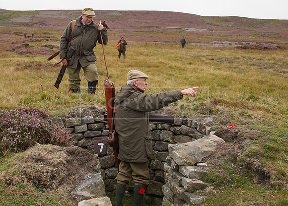 melmerby website-081
