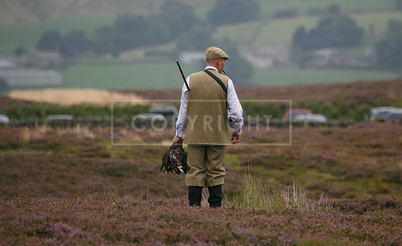melmerby website-087
