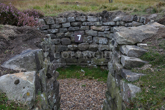 melmerby website-086