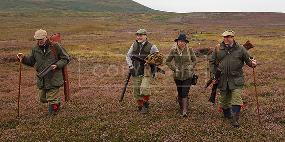 melmerby website-089